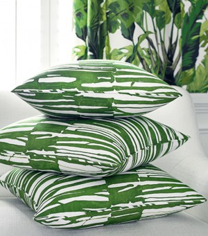 Tropics-Travelers-Palm-2