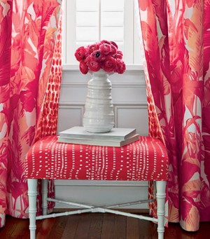 Tropics-Travelers-Palm